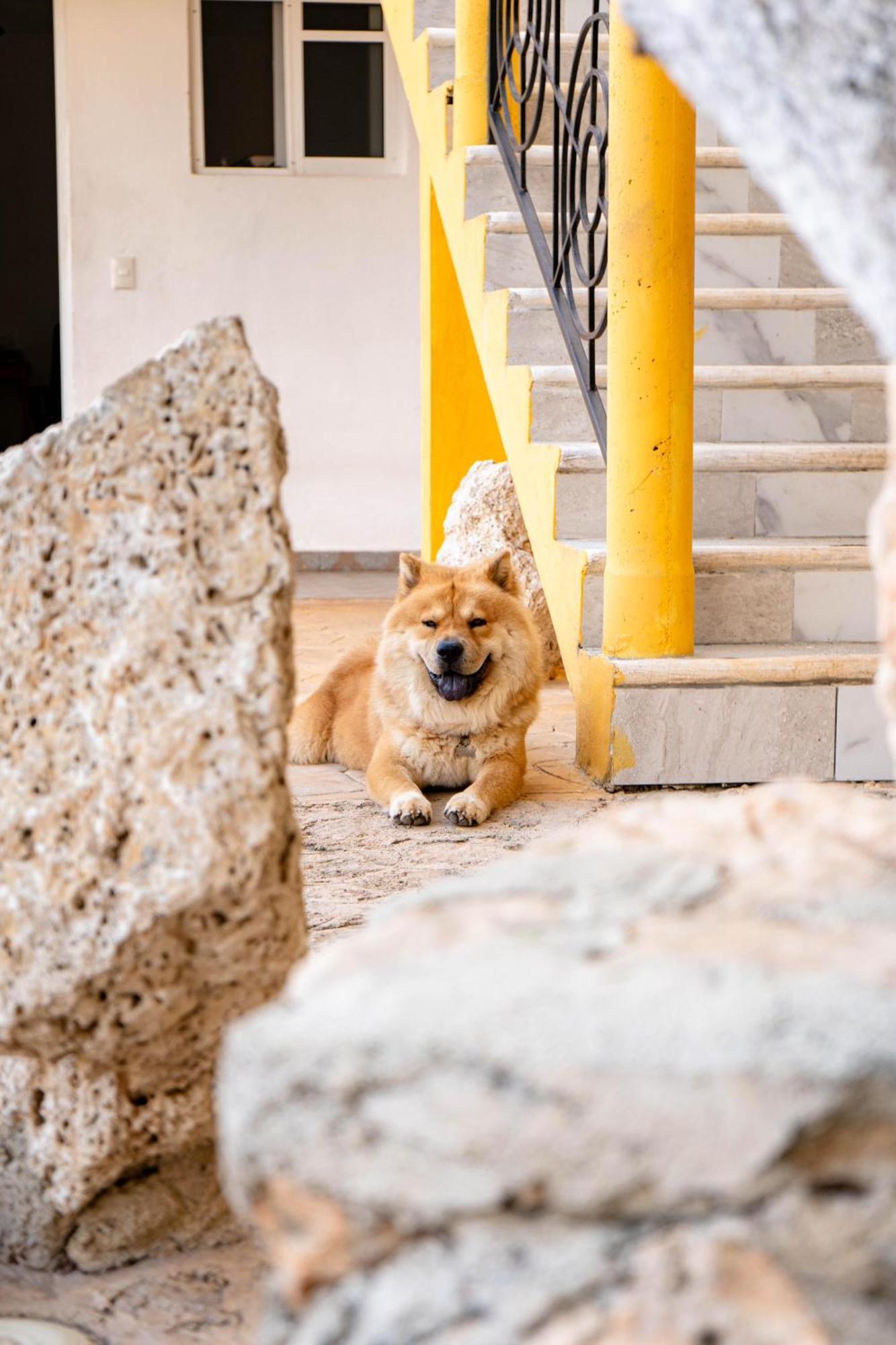Buenosdias Izamal Bed & Breakfast Exterior photo